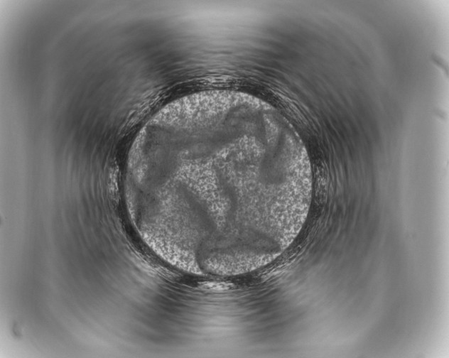 X0000094960654200712271720