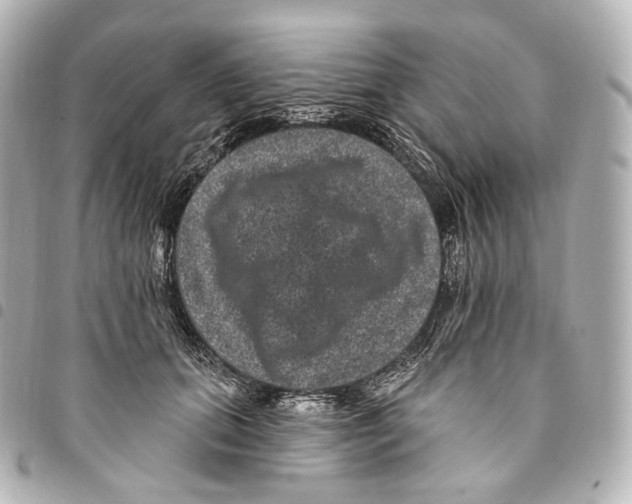 X0000094960655200712271720