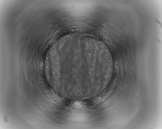X0000094960657200712271720