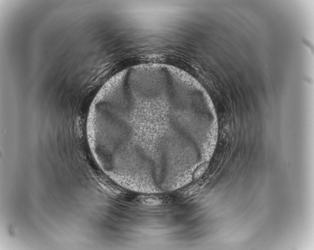 X0000094960658200712271720