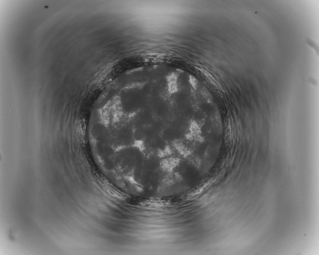 X0000094960661200712271720