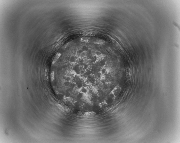 X0000094960663200712271720