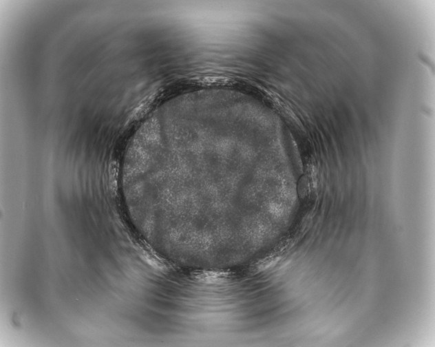 X0000094960664200712271720
