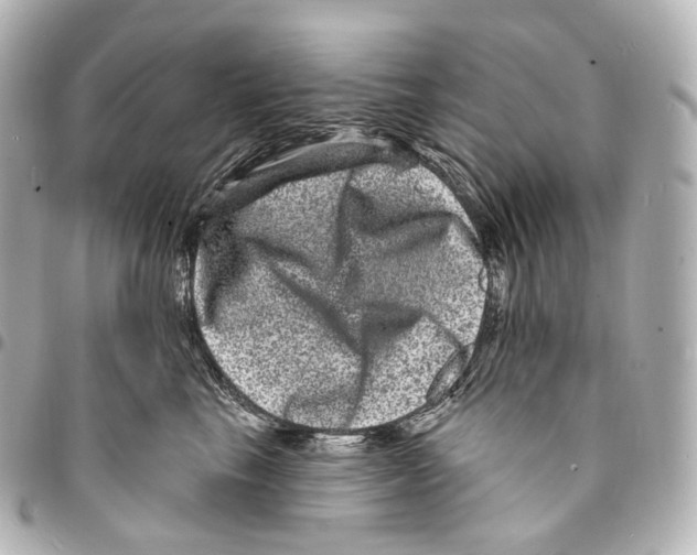 X0000094960665200712271720