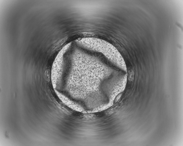 X0000094960666200712271720