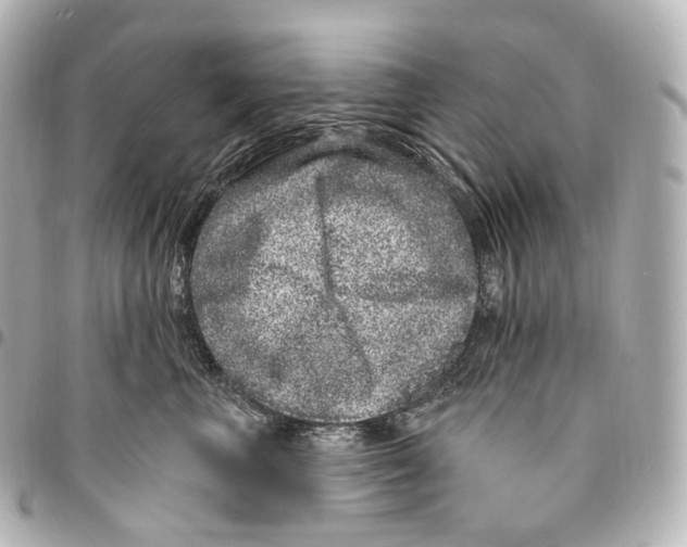 X0000094960667200712271720