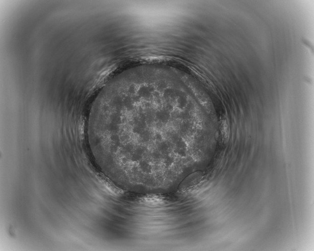 X0000094960668200712271720