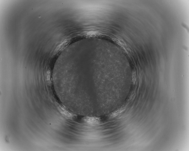 X0000094960670200712271720