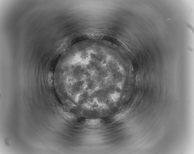 X0000094960671200712271721