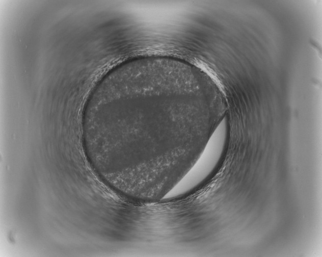 X0000094960673200712271720
