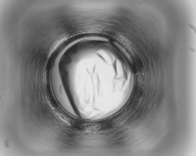 X0000094960676200712271720