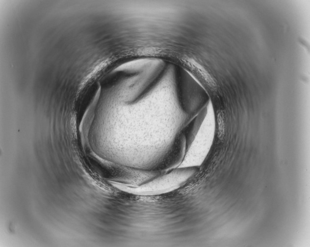 X0000094960684200712271720