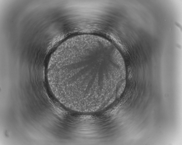 X0000094960685200712271720