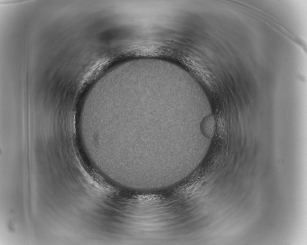 X0000094960686200712271720