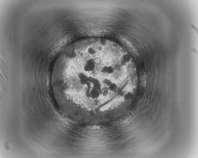 X0000094960687200712271720