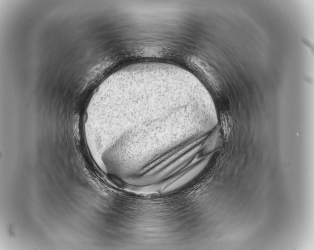 X0000094960688200712271720