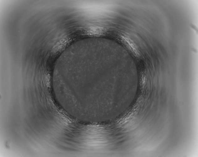 X0000094960689200712271720
