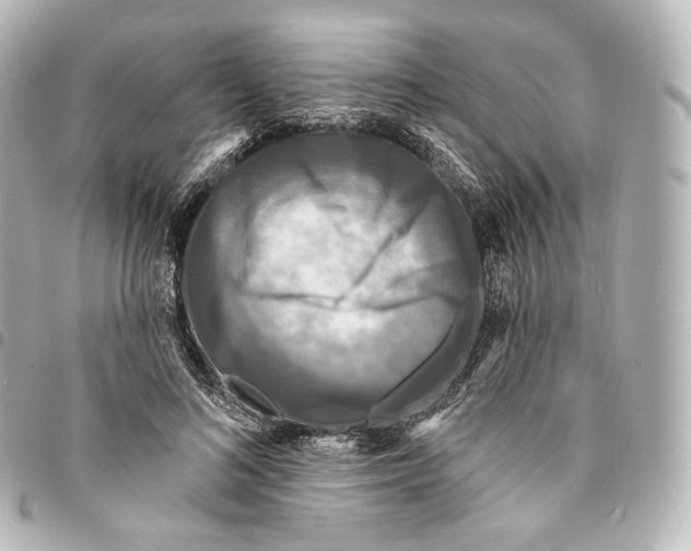 X0000094960692200712271720