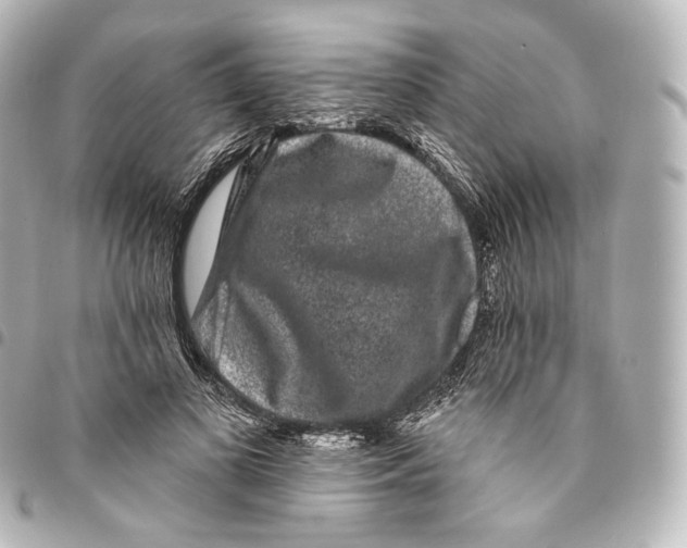 X0000094960693200712271720