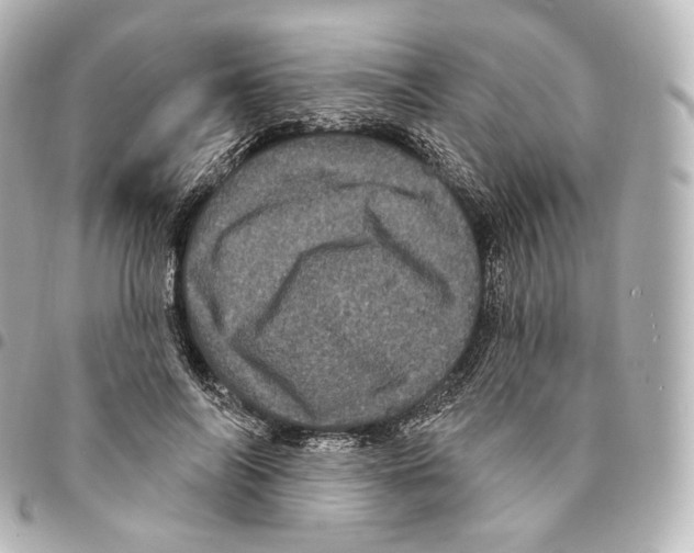 X0000094960694200712271720