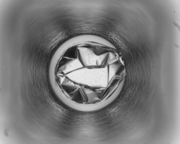 X0000094960696200712271720