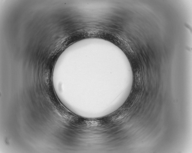 X0000094960698200712271720