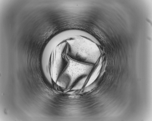 X0000094960700200712271719