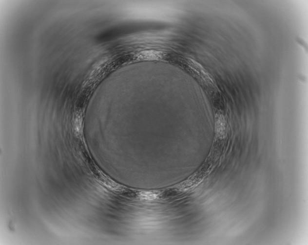 X0000094960701200712271719
