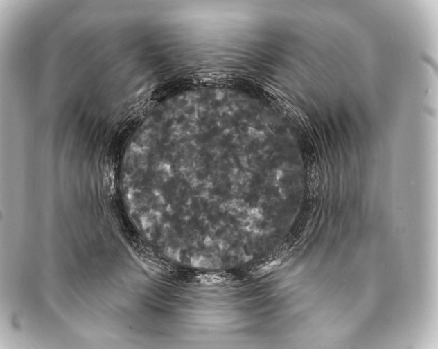 X0000094960703200712271719