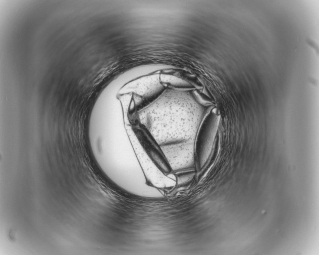 X0000094960704200712271719