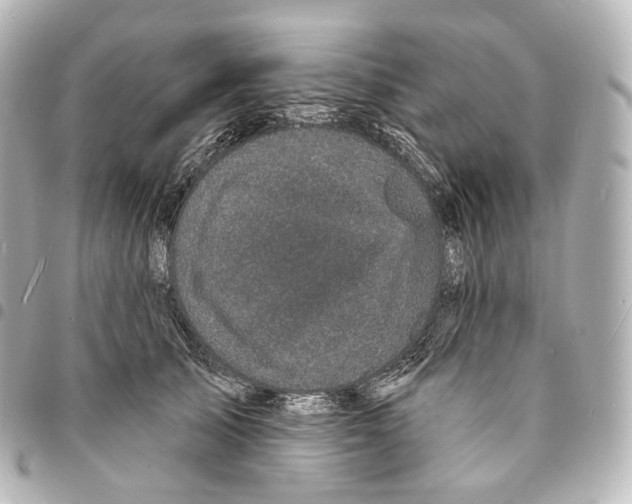 X0000094960705200712271719