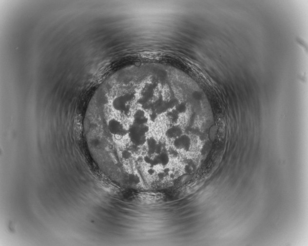 X0000094960707200712271719