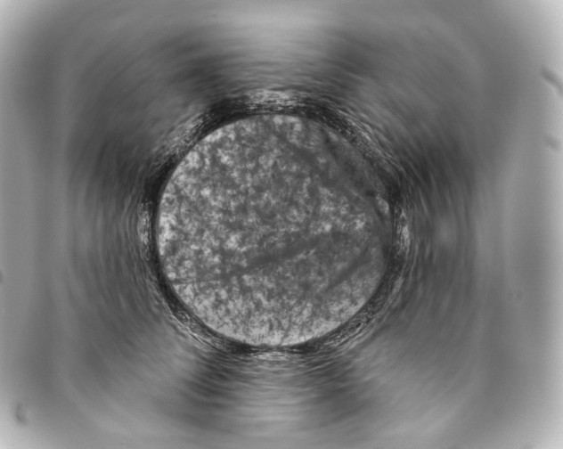 X0000094960708200712271719