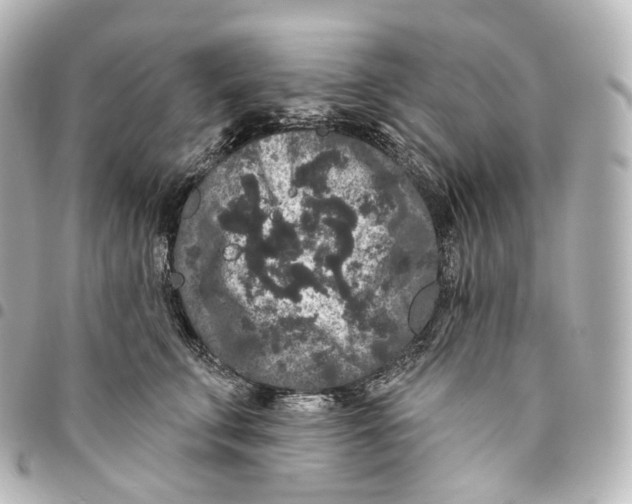 X0000094960711200712271719