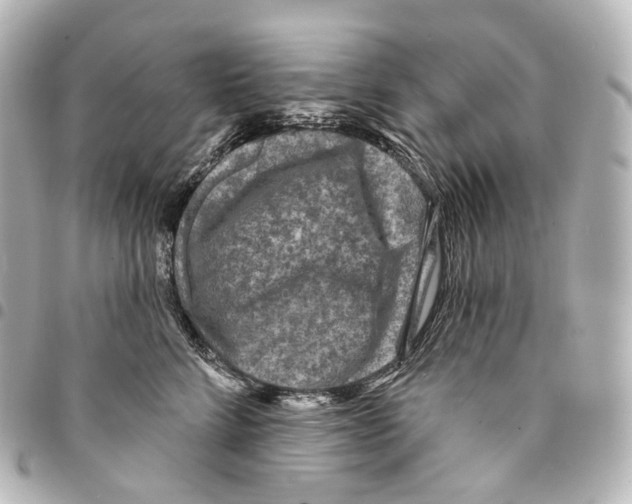 X0000094960712200712271719