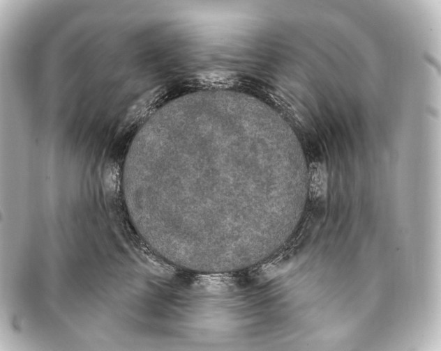 X0000094960713200712271719