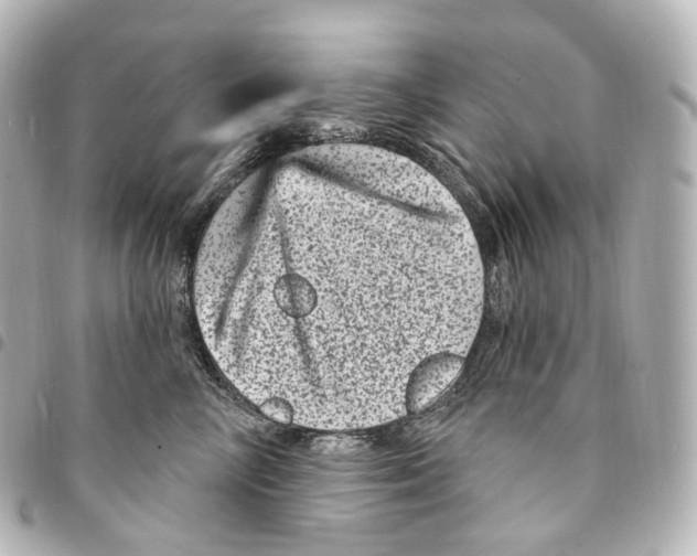 X0000094960714200712271719