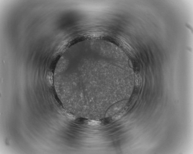 X0000094960718200712271719