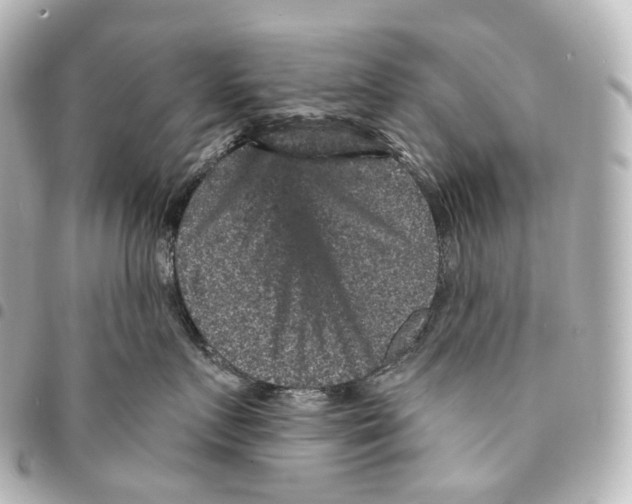 X0000094960719200712271719