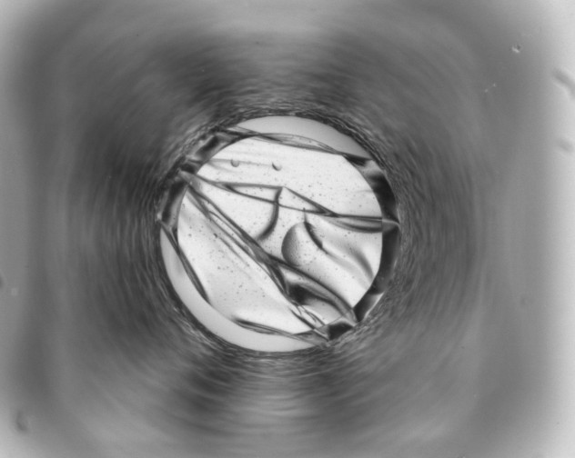 X0000094960720200712271719