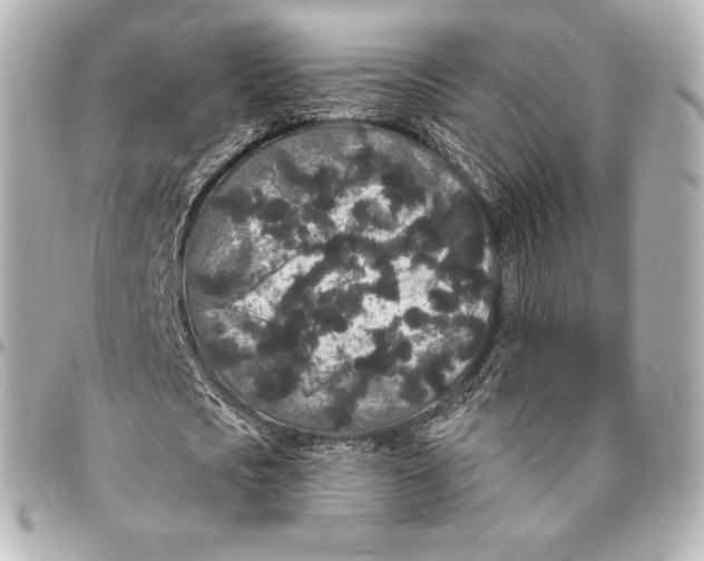 X0000094960721200712271719