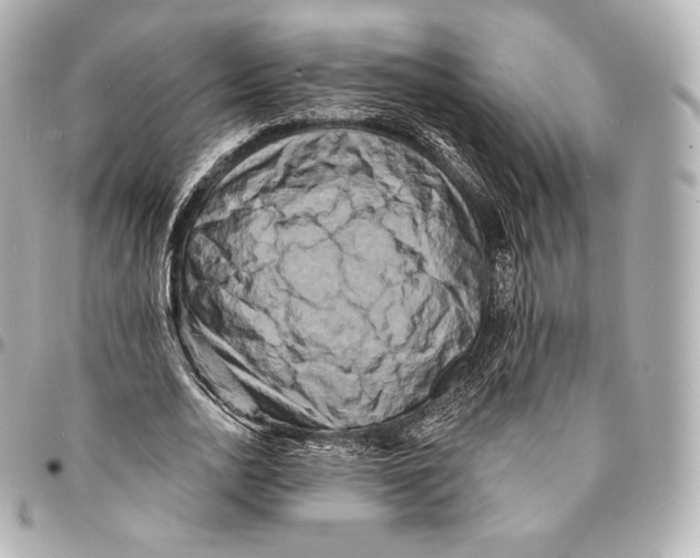X0000094960726200712271719