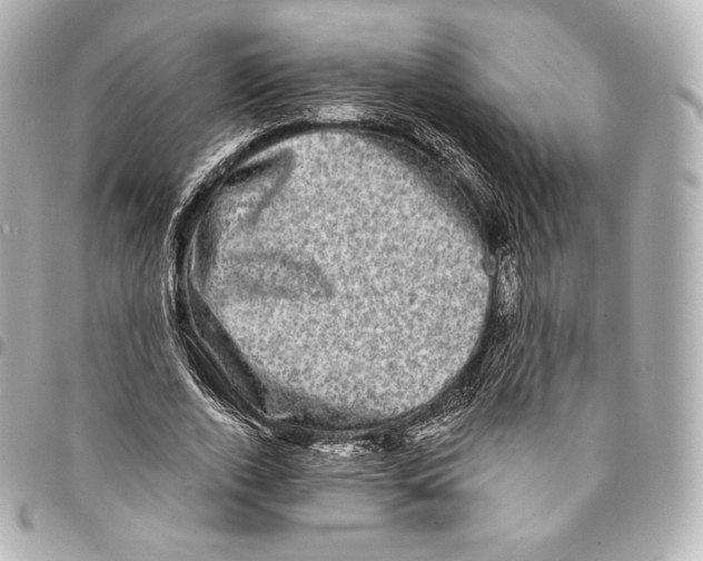 X0000094960728200712271719