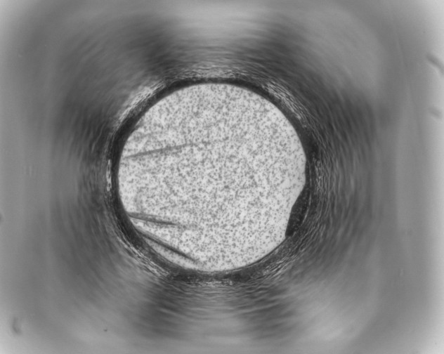 X0000094960731200712271719