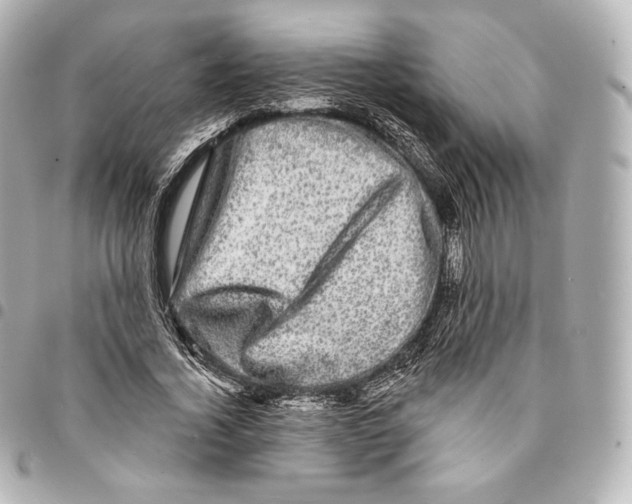 X0000094960732200712271719