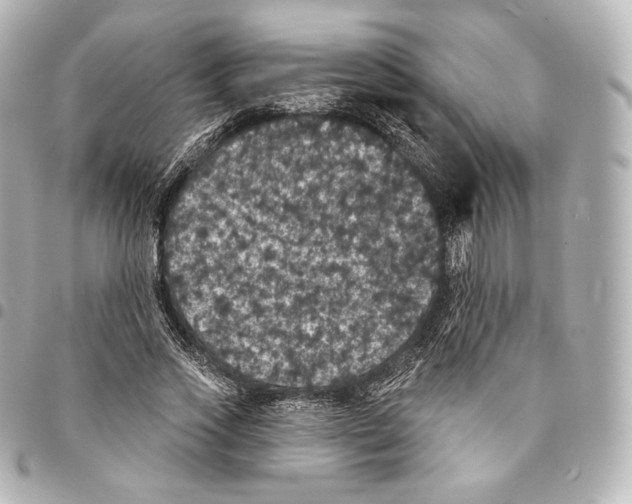 X0000094960733200712271719