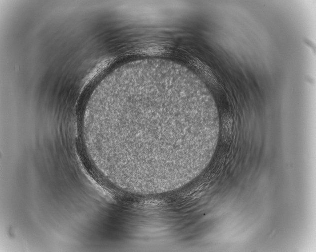 X0000094960734200712271719