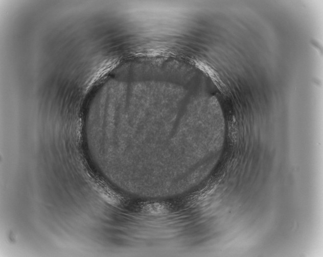 X0000094960735200712271719