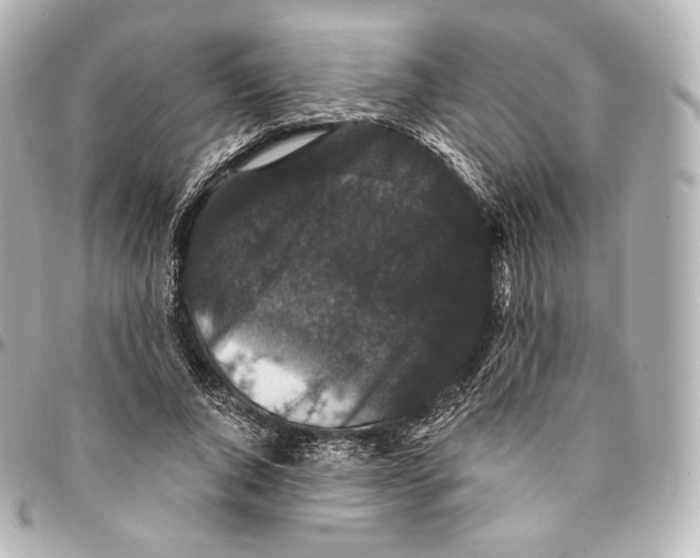X0000094960736200712271719