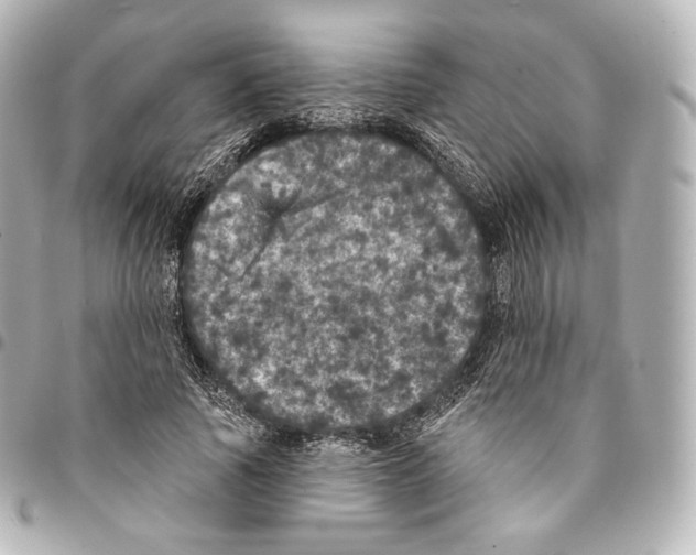 X0000094960737200712271719